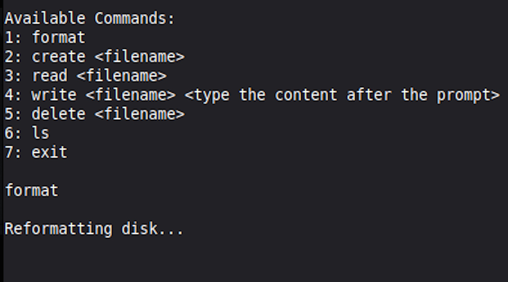 A screenshot of the file system running!
